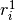 r^1_i